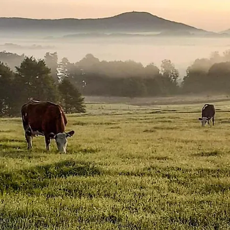 Pet Friendly In Klucze With Wifi * Klucze (Olkusz)
